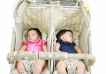 Twins Sleeping In Stroller Stock Photo