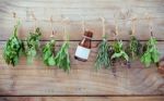 Various Herbs Hanging On Shabby Wooden Background.  Parsley ,ore Stock Photo