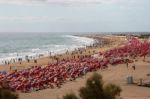 View Of The Beach From Playa Del Ingles To Maspalomas Gran Canar Stock Photo