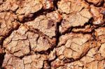 Surface Of Dry Soil In Summer Stock Photo