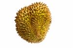 Single Whole Durian Isolated On White Background Stock Photo