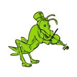 Grasshopper Fiddler Drawing Stock Photo
