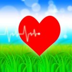 Heart Pulse Represents Valentine Day And Cardiology Stock Photo