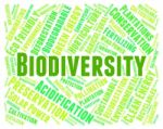 Biodiversity Word Representing Animal Kingdom And Biodiverse Stock Photo