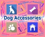 Dog Accessories Indicates Canine Accessory And Pedigree Stock Photo