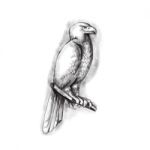 Australian Wedge-tailed Eagle Perch Tattoo Stock Photo