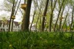 Tree Houses In The Beguinage (begijnhof) In Bruges Stock Photo