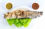 Grilled Salted Catfish Stock Photo