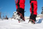 View Of Walking On Snow With Snow Shoes And Shoe Spikes In Winte Stock Photo