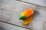 Papaya With Top View Stock Photo