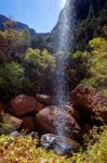 Small Waterfall In Zion National Park Stock Photo