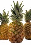 Pineapple Trio Stock Photo