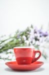 Red Cup Of Cofee And Static Flower Stock Photo