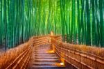 Bamboo Forest In Kyoto, Japan Stock Photo