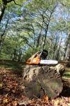 Chainsaw In Autumn Wood Stock Photo