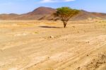 Sahara Desert Landscape In Sudan Near Wadi Halfa Stock Photo
