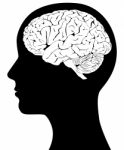 Brain In Head Stock Photo