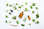 Holy Basil Essential Oil In A Glass Bottle With Fresh Holy Basil Stock Photo
