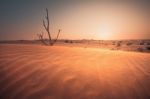 Desert At Sunset Stock Photo