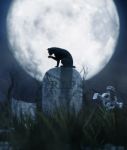 Black Cat Sitting On A Gravestone In Halloween Night,3d Illustration Stock Photo