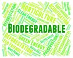 Biodegradable Word Represents Biodegradation Words And Decompose Stock Photo