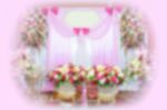 Blur Background Of Flower Arch For Wedding Stock Photo