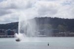 Wellington, New Zealand - February 11 : Waterfront In Wellington Stock Photo