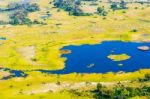 Okavango Delta Aerial View Stock Photo