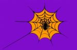 Spider On Cobweb Stock Photo
