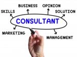 Consultant Diagram Shows Expert With Opinions And Solutions Stock Photo