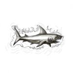 Shark Swimming Water Tattoo Stock Photo