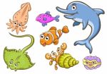 Aquatic Animals Stock Photo