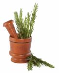 Fresh Rosemary Herb In Wooden Mortar With Pestle Stock Photo