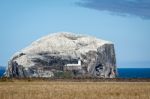 View Of Bass Rock Stock Photo