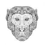 Rhesus Macaque Head Front Mandala Stock Photo