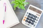 Calculator, Notepad,  Pen And Green Plant On Grey Background Stock Photo
