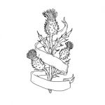 Scottish Thistle With Ribbon Drawing Black And White Stock Photo