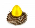 Golden Egg In Nest Stock Photo