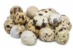 Raw Quail Eggs Stock Photo