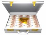 Euro And Briefcase Stock Photo