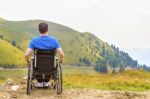 Young Man In A Wheelchair Enjoying Fresh Air On A Sunny Day Stock Photo