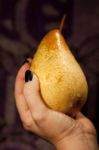 Holding A Pear Stock Photo