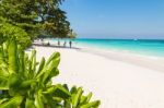 Beautiful  Beach At Ta Chai Island, Phang Nga Thailand Stock Photo