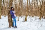 Young Beautiful Woman Walking In The Woods In Winter Stock Photo