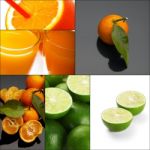 Citrus Fruits Collage Stock Photo