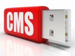 Cms Pen Drive Means Content Management System Stock Photo