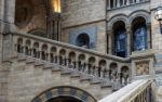 Staircase At The Natural History Museum In London Stock Photo