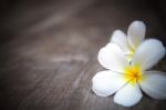 White Frangipani Flower On Wooden Background Stock Photo