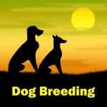 Dog Breeding Means Puppies Puppy And Darkness Stock Photo