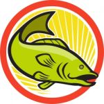 Largemouth Bass Jumping Cartoon Circle Stock Photo